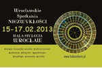 Logotyp targów: Wrocławskie Spotkania Niezwykłości - Wiosna 2013